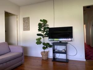 a living room with a television and a potted plant at Stay @ Ray's in West Wyalong