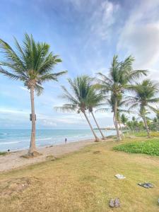 塔曼達雷的住宿－Casa12_Carneiros，海滩上一棵棕榈树和大海