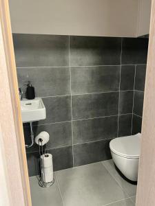 a bathroom with a toilet and a sink at Dolní Morava- Apartmán v Prostření Lipce in Králíky