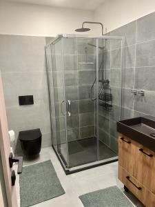 bagno con doccia, lavandino e servizi igienici di Dolní Morava- Apartmán v Prostření Lipce a Králíky