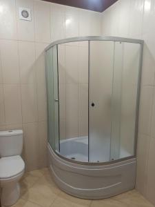 烏曼的住宿－Однокімнатна квартира в Грековому Лісі，一间带卫生间的浴室内的玻璃淋浴间