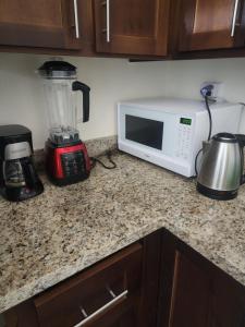 a kitchen counter with a blender and a microwave at Stonebrook Manor Villa Chateau in Falmouth