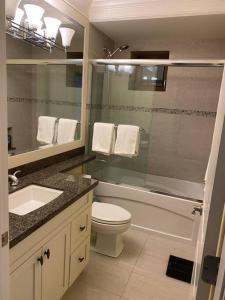 a bathroom with a toilet and a shower and a sink at spacious modern new suite in Vancouver