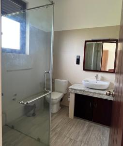 a bathroom with a shower and a sink and a toilet at Driftwood Villa in Pamunugama