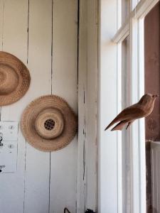 Un pájaro está sentado en una ventana. en Siedlisko pod Lipami, en Lipniki