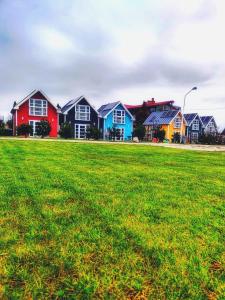 a row of houses in a field of green grass at Domki Primore in Władysławowo