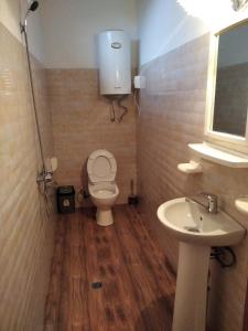a bathroom with a toilet and a sink at Hotel Poseidon in Shekvetili