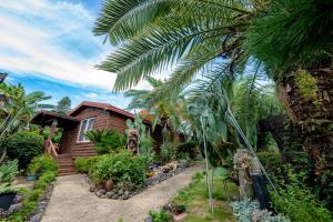 una casa con una palmera delante de ella en Valley Village en Seogwipo