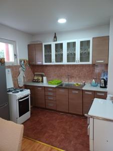 Η κουζίνα ή μικρή κουζίνα στο Putnik