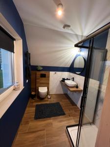 a bathroom with a toilet and a sink at Anielski Apartament z prywatną balią in Szaflary