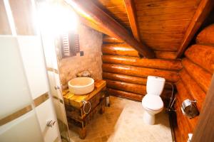 a bathroom with a toilet and a sink in a log cabin at Cazare Casa Suw Toplita in Măgheruş +32 photos