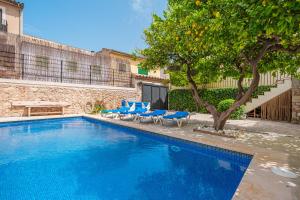 a swimming pool with two blue chairs and a tree at Sa Llimonera de Binissalem in Binissalem