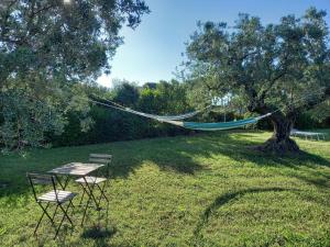 - deux chaises et un hamac dans une cour avec un arbre dans l'établissement Monolocale in campagna vicino Bolgheri e mare, à Cecina