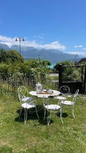 a table and chairs sitting in the grass at Le Chalet de la Plage in Sévrier