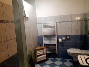 uma casa de banho com WC e azulejos azuis e brancos. em Penzion Hotelu Central em Dvur Králové nad Labem