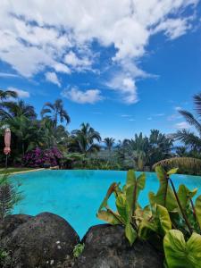 een zwembad tegenover een resort met palmbomen bij Maryse’ House in Les Avirons