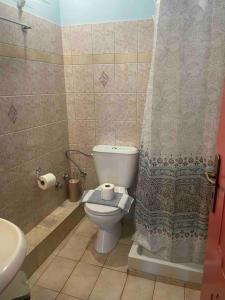 a bathroom with a toilet and a shower curtain at Alice Apartment in Agia Effimia +34 photos