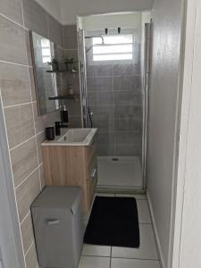 a small bathroom with a toilet and a sink at Résidence La Cafeiere in Saint-Claude +6 photos