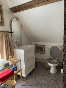 La salle de bains est pourvue de toilettes, d'un lavabo et d'un miroir. dans l'établissement Le grand Moulin, à Pernay