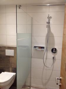 a shower with a glass door in a bathroom at Apart Garni Lais in Galtür