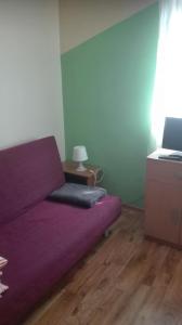 ビルカシにあるKwatery Noclegi pracowniczeのノートパソコン付きの客室内の紫色のソファ