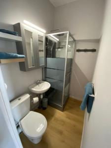 een kleine badkamer met een toilet en een wastafel bij Studio en plein cœur de ville in Saint-Omer