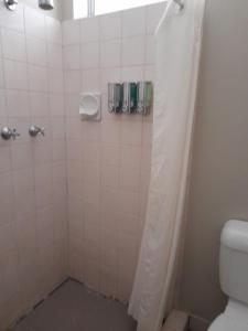 a bathroom with a shower with a toilet at Aromet Motor Inn in Temora