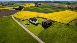 an aerial view of a field of yellow flowers at Ranczo Łubowice - wynajmij sobie spokój in Łubowice
