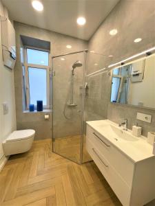 a bathroom with a shower and a sink and a toilet at Picturesque Old Town Apartment with Charming Balcony in Kaunas