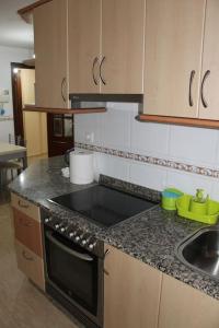 Dapur atau dapur kecil di Apartamentos Camino Inglés