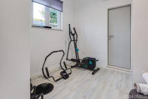 Fitness centrum a/nebo fitness zařízení v ubytování Grandfather's House