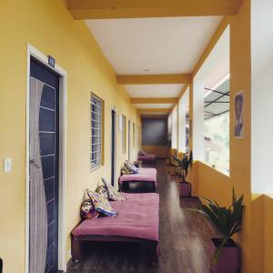 a row of beds in a room with yellow walls at WoodPacker Hostel Auroville Pondicherry in Auroville