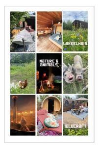 un collage di immagini di tipi diversi di iture di Bed & Wellness Klein Knorrestein with 2 romantic sustainable tiny house, use private hottub, sauna, tandembike included in price, just 30 minutes from Amsterdam ad Almere