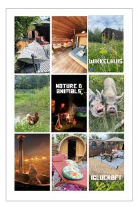 een collage van afbeeldingen van verschillende soorten afbeeldingen bij Bed & Wellness Klein Knorrestein with 2 romantic sustainable tiny house, use private hottub, sauna, tandembike included in price, just 30 minutes from Amsterdam in Almere