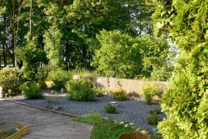 un jardín con un montón de plantas y árboles en Gîte Nature et détente en Aubréville