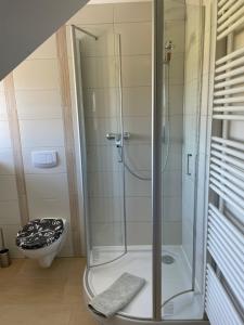 a shower stall in a bathroom with a toilet at WITHA in Fuhlendorf
