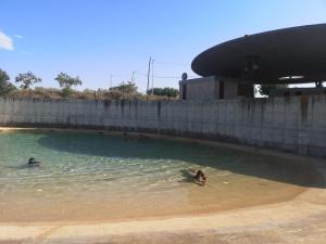 Dos personas nadando en una piscina de agua en Casa Dolors, en Ossó de Sió