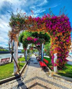 Une pergola avec des fleurs sur elle à côté des bancs dans l'établissement Casa da Torre - A Gema Escondida da Tavira, à Tavira
