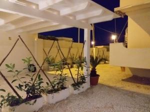 Zahrada ubytování Villa Marina
