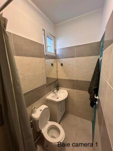 a small bathroom with a toilet and a sink at Locuință privată la mare in Schitul