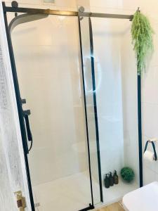 a shower with a glass door in a bathroom at Pontevedra Apartments -New Loft Centro Pontevedra in Pontevedra +40 photos
