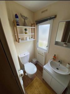 a small bathroom with a toilet and a sink at Captivating 3-Bed Caravan at Golden Palm Skegness in Skegness