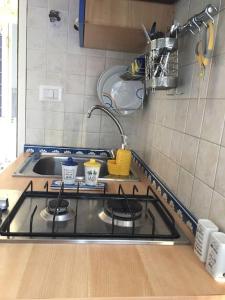 a kitchen counter with a stove and a sink at Aurelia in Blu in Rome