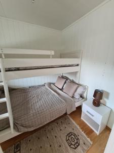 特羅姆瑟的住宿－Aurora apartment in Kvaloya Tromso，卧室配有两张双层床和地毯。