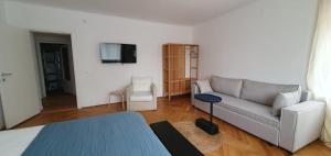 - un salon avec un canapé et une télévision dans l'établissement Pine Forest Apartments, à Braşov