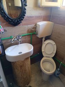 a bathroom with a sink and a toilet and a mirror at Komovi - Montenegrina Mountain house in Kolašin