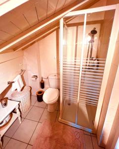 a small bathroom with a toilet and a shower at Triplex in Villars Centre with Parking in Villars-sur-Ollon