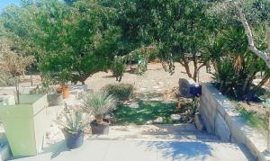 um jardim com vasos de plantas e uma cerca com árvores em Magnifique villa au calme avec piscine et jacuzzi chauffées em Murviel-lès-Montpellier