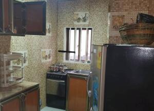 uma cozinha com um frigorífico de aço inoxidável e um lavatório em Savagem Furnished Apartment em Freetown