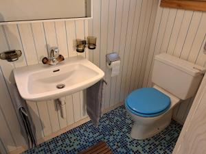 Baño pequeño con aseo y lavamanos en Studio indépendant en résidence avec extérieur, en Portalban- Dessous